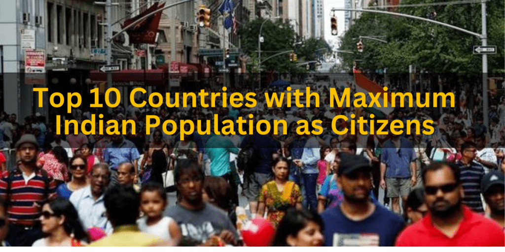 Countries with maximum indian