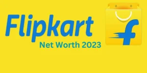 Flipkart Net Worth 2024