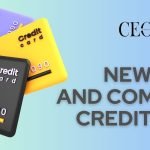 New York and Company Credit Card