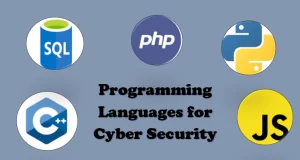 What Programming Languages Are Used for Cybersecurity?